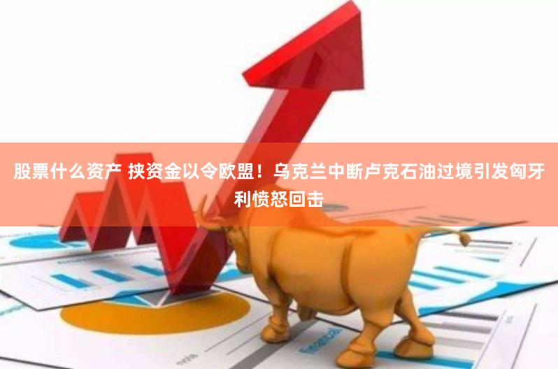 股票什么资产 挟资金以令欧盟！乌克兰中断卢克石油过境引发匈牙利愤怒回击