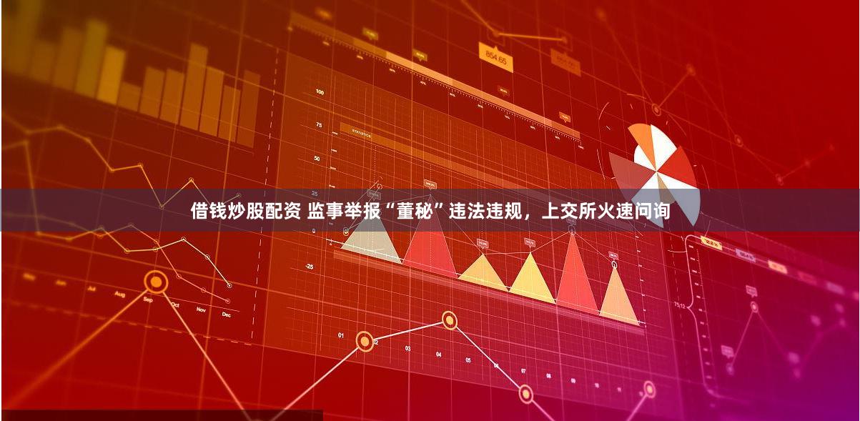借钱炒股配资 监事举报“董秘”违法违规，上交所火速问询