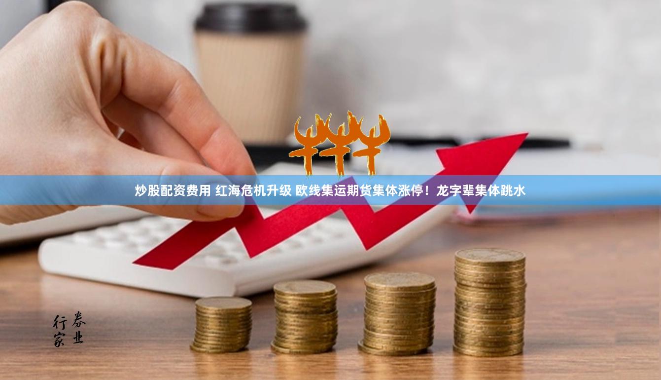 炒股配资费用 红海危机升级 欧线集运期货集体涨停！龙字辈集体跳水