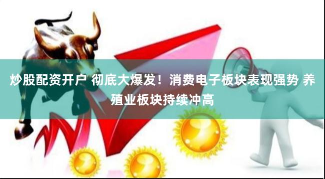炒股配资开户 彻底大爆发！消费电子板块表现强势 养殖业板块持续冲高