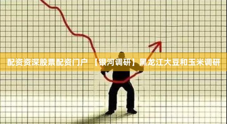 配资资深股票配资门户 【银河调研】黑龙江大豆和玉米调研